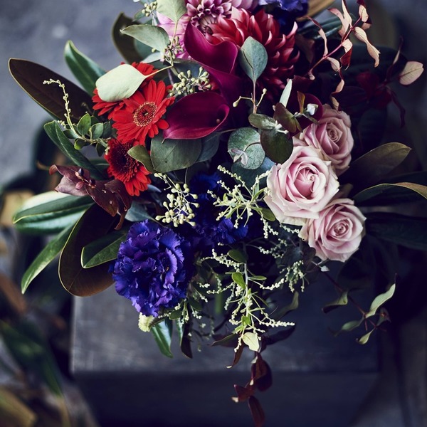 les mille feuilles de liberte