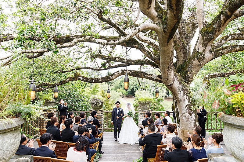 樹齢150年のモチの木が見守るガーデン挙式	