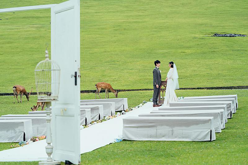 県内唯一の挙式【若草山ウエディング】	
