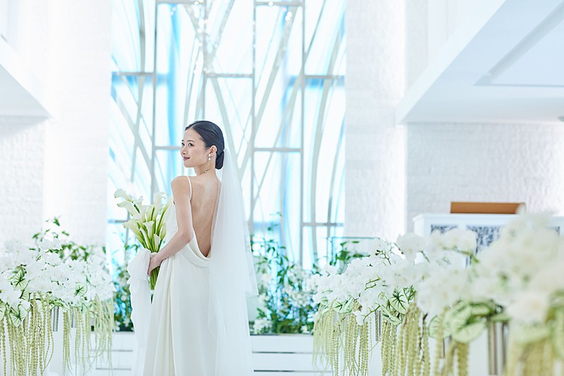 緑の癒しに満ちた純白の空間