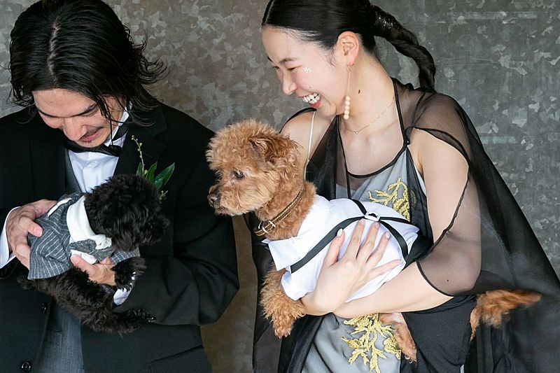 愛犬も一緒に参加の結婚式が叶う