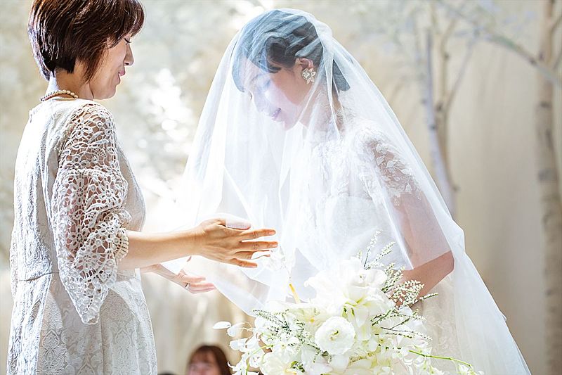 モチーフである白樺が意味する木言葉は「家族」「母」