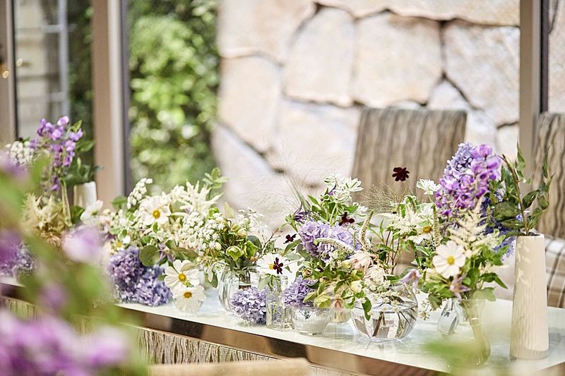 ペットも一緒に参加