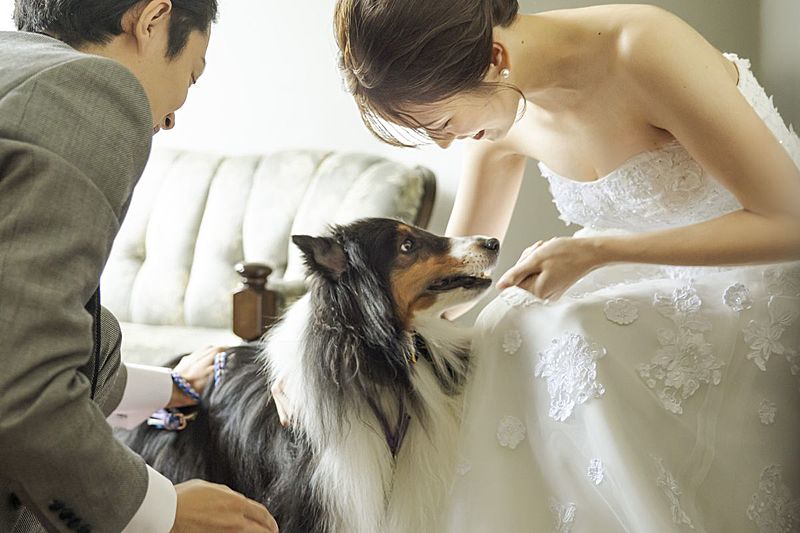 充実のペットおもてなし