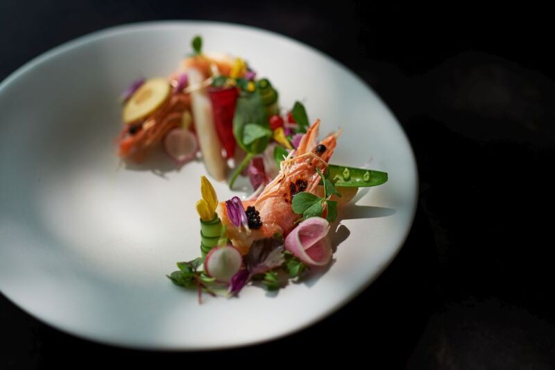 色彩と美しさが宿る、京都の旬の食材を楽しんで