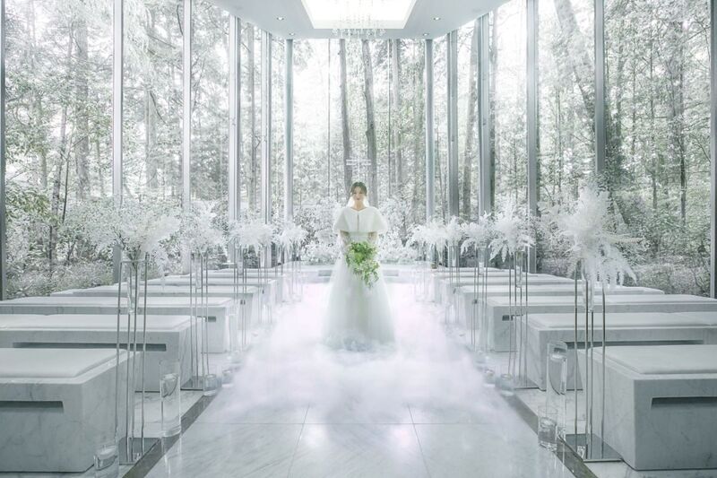 【雨の日が一番美しい】森の緑は最も深く輝き幻想的な霧に包まれる空間