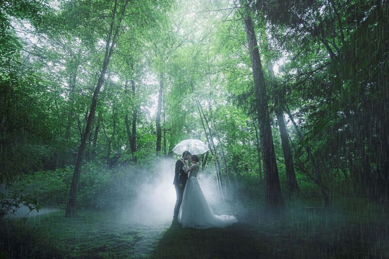 雨の日が一番美しいガーデン。幻想的な霧が包む神秘の森