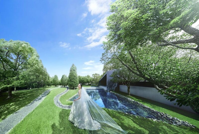 1年中緑が美しい常緑樹