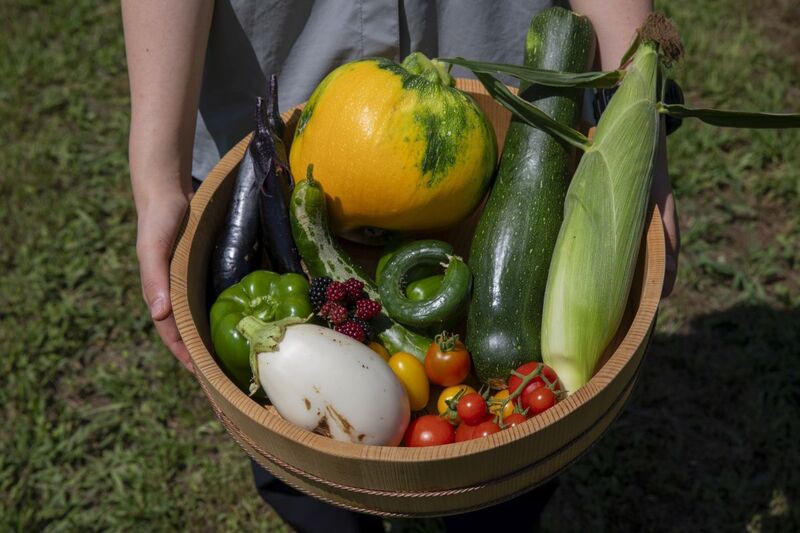 信州の豊穣な風土が育んだ、みずみずしい旬の野菜