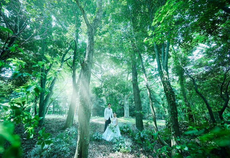 ありのままの杜を、結婚式の舞台に