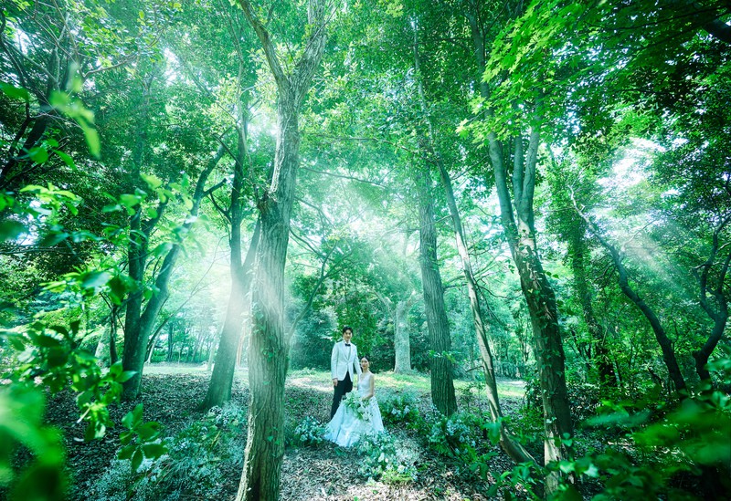 ありのままの杜を、結婚式の舞台に