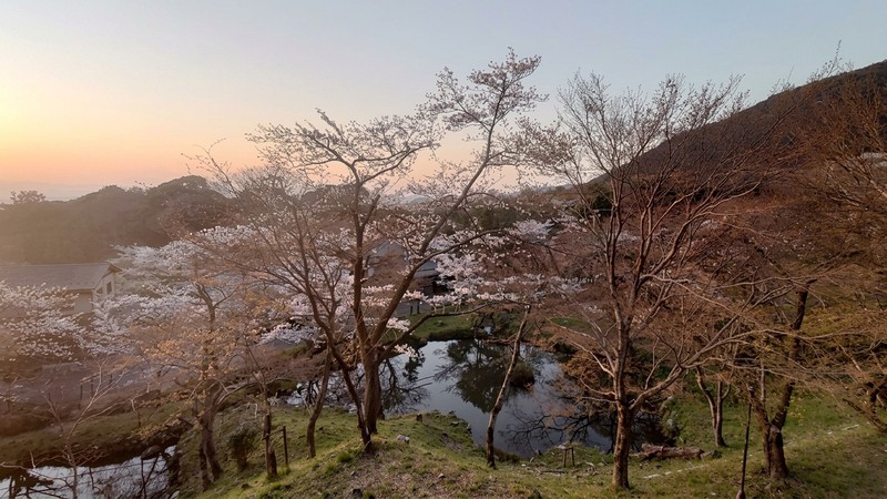 桜、水辺、夕景――四季の中でも特に美しい春を感じながら、心に残る一日を