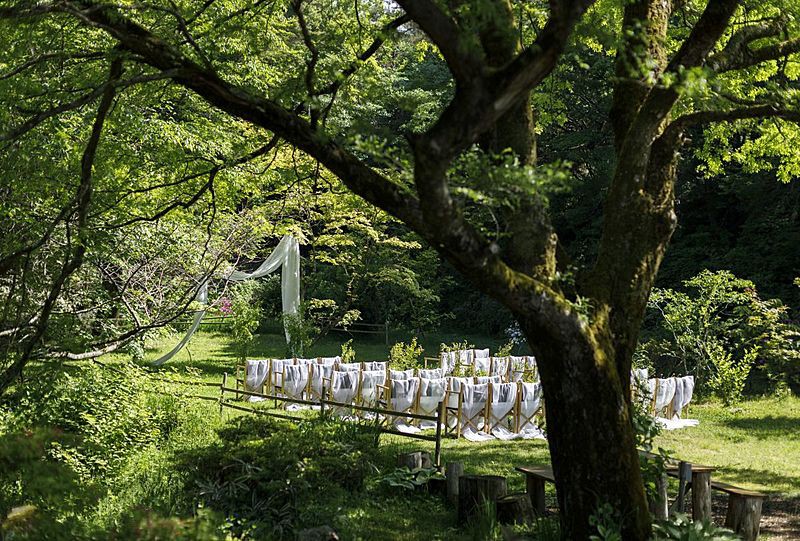 六甲山の森と光に包まれる「神戸の日帰りリゾートウェディング」