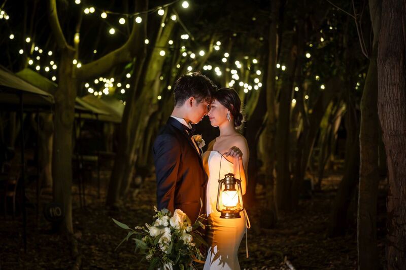 夜の森が、特別な背景になる