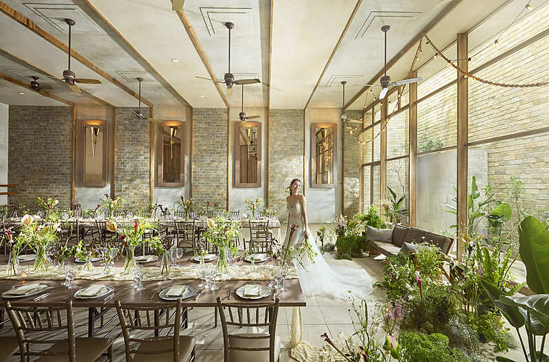 南青山の完全貸切「ナチュラルオーガニックハウス」