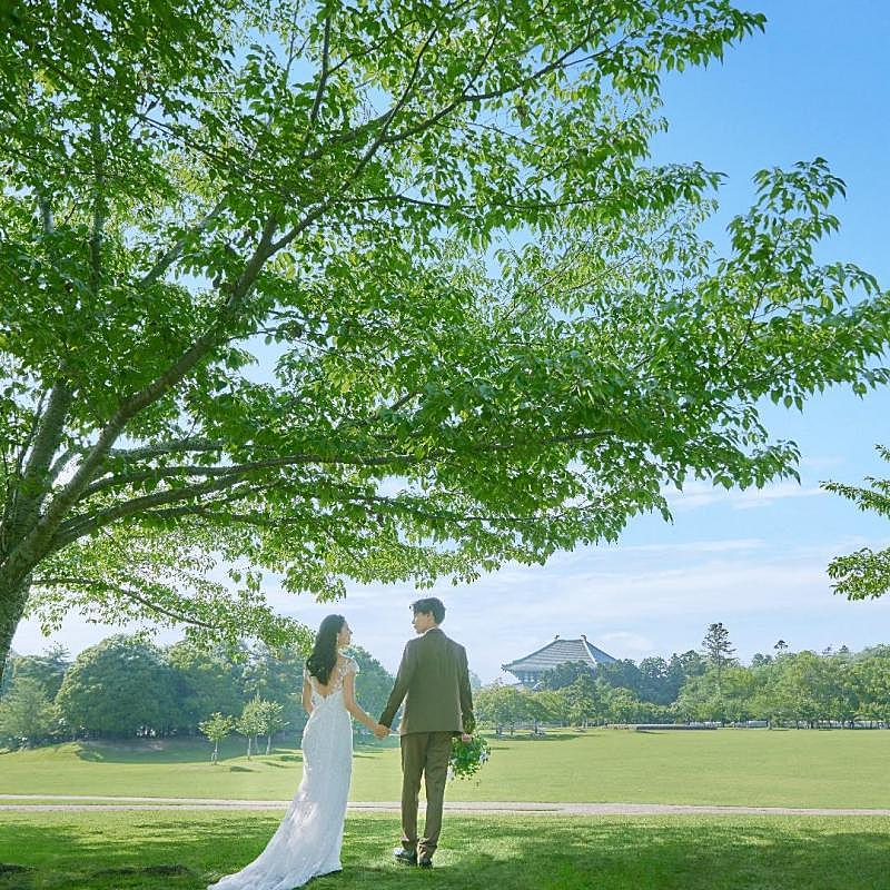 コスパ重視・堅実派に、見積もり相談会