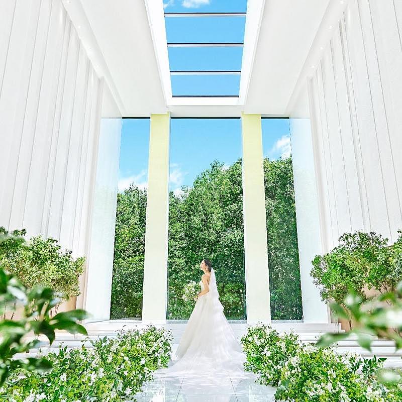 おもてなし派に、料理&サービス体験フェア【無料試食付き】