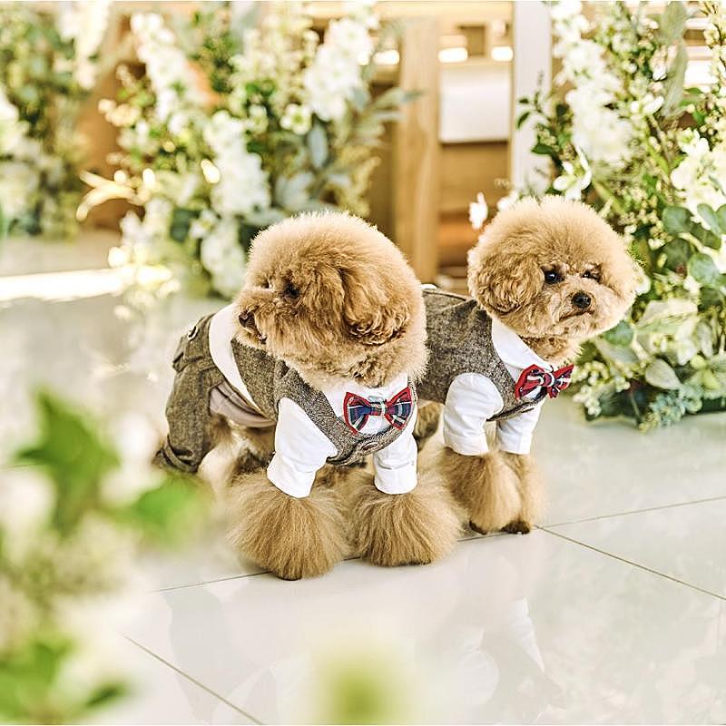 おもてなし派に、料理&サービス体験フェア【無料試食付き】