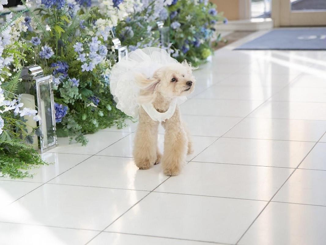 はじめての見学に、Howto相談会