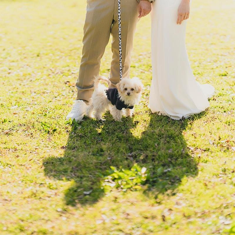 おもてなし派に、料理&サービス体験フェア【無料試食付き】