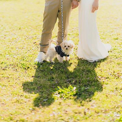 おもてなし派に、料理&サービス体験フェア【無料試食付き】