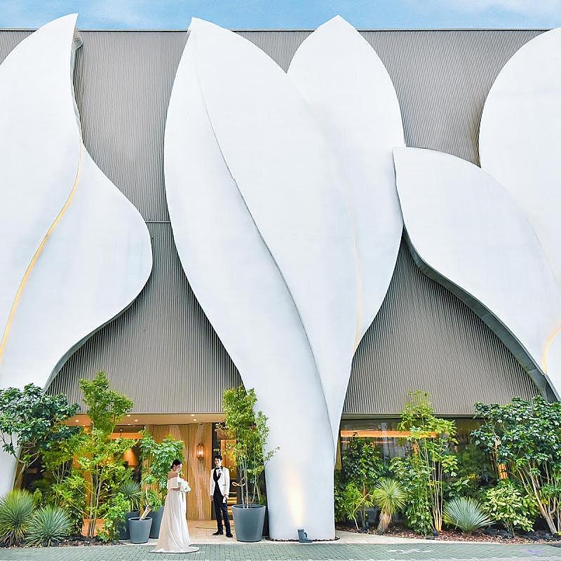 コスパ重視・堅実派に、見積もり相談会【無料試食付き】