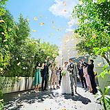 少人数ウエディング相談会【無料試食付き】