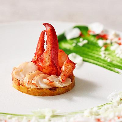 おもてなし派に、料理&サービス体験フェア【無料試食付き】