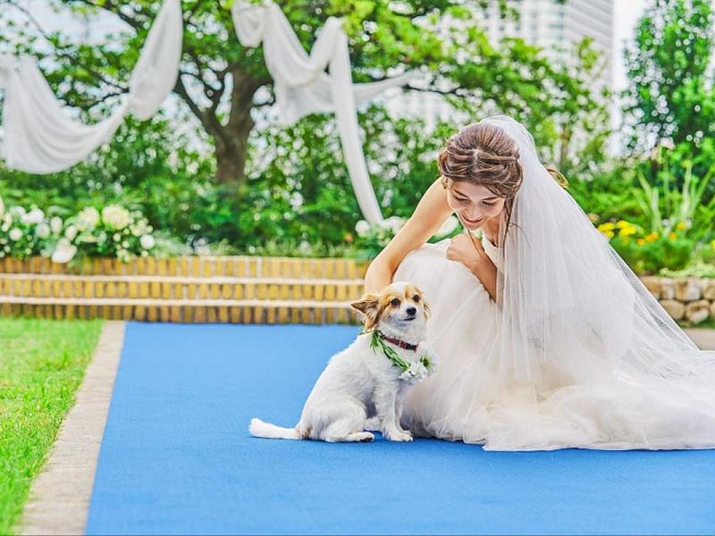 おもてなし派に、料理&サービス体験フェア【無料試食付き】