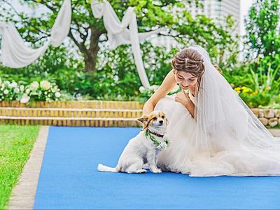 おもてなし派に、料理&サービス体験フェア【無料試食付き】