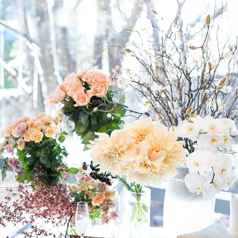 コスパ重視・堅実派に、見積もり相談会【無料試食付き】