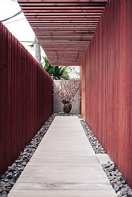 イワイ オモテサンドウ(IWAI OMOTESANDO)