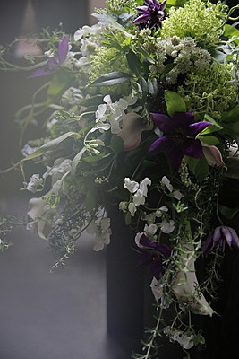 les mille feuilles de liberte