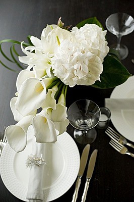 les mille feuilles de liberte