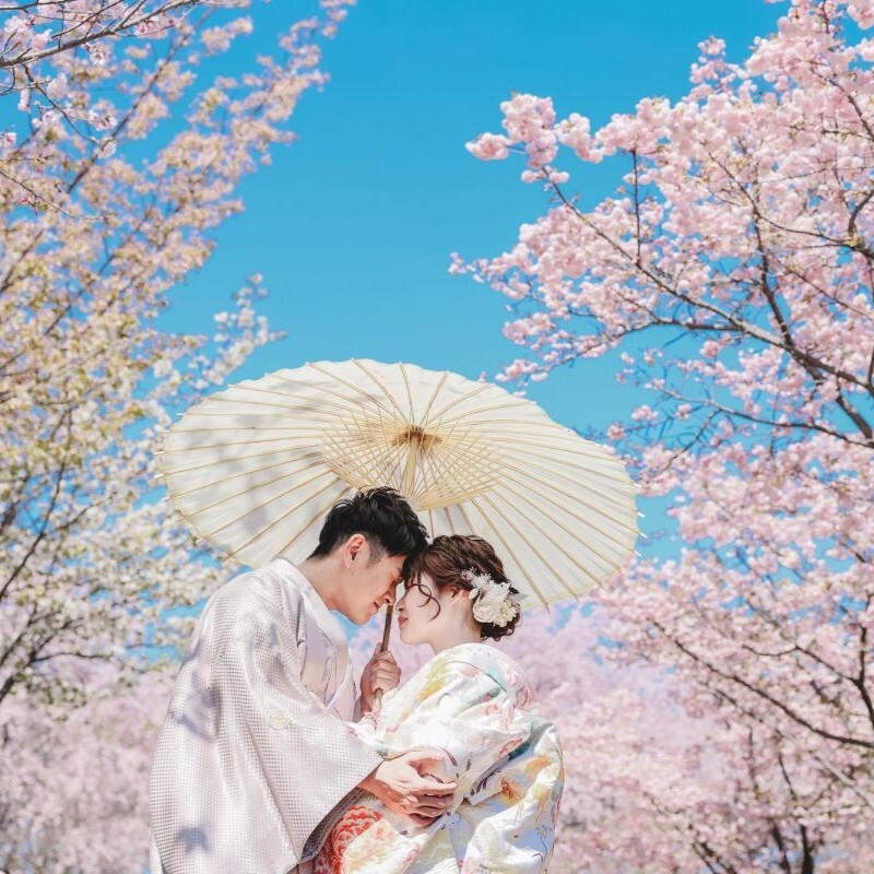 和装ロケーション