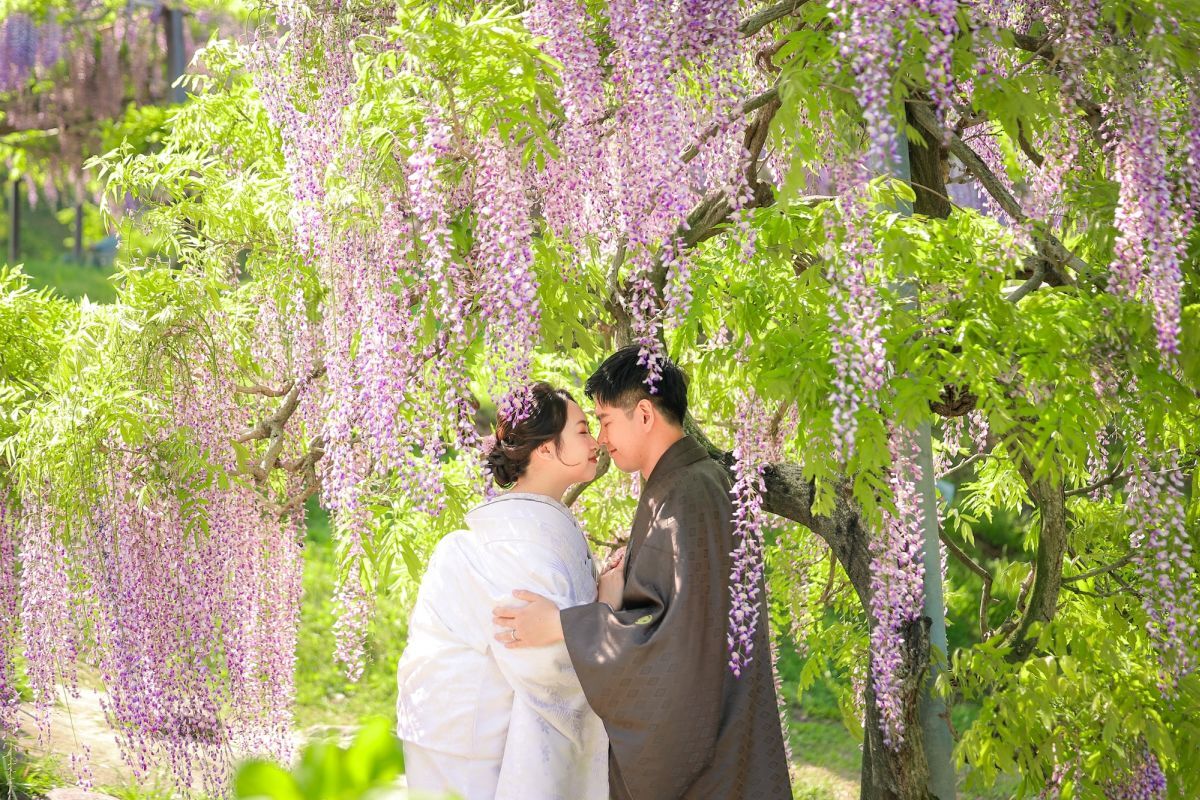 和装ロケーション