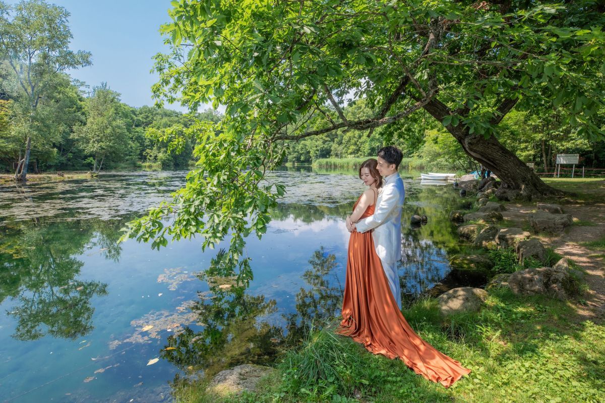 ［美瑛］北海道満喫プレミアム