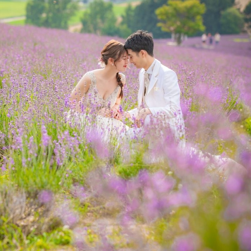 ［美瑛］富良野 or 美瑛の花畑ロケーション