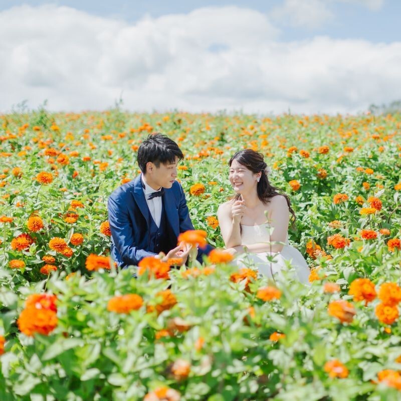 ［美瑛］富良野 or 美瑛の花畑ロケーション