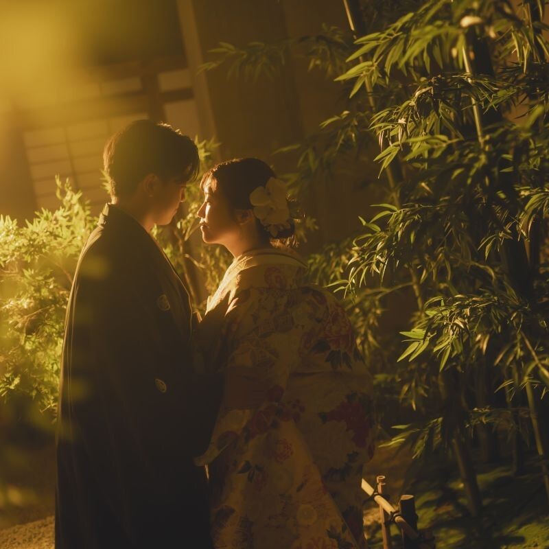 屋内庭園スタジオ