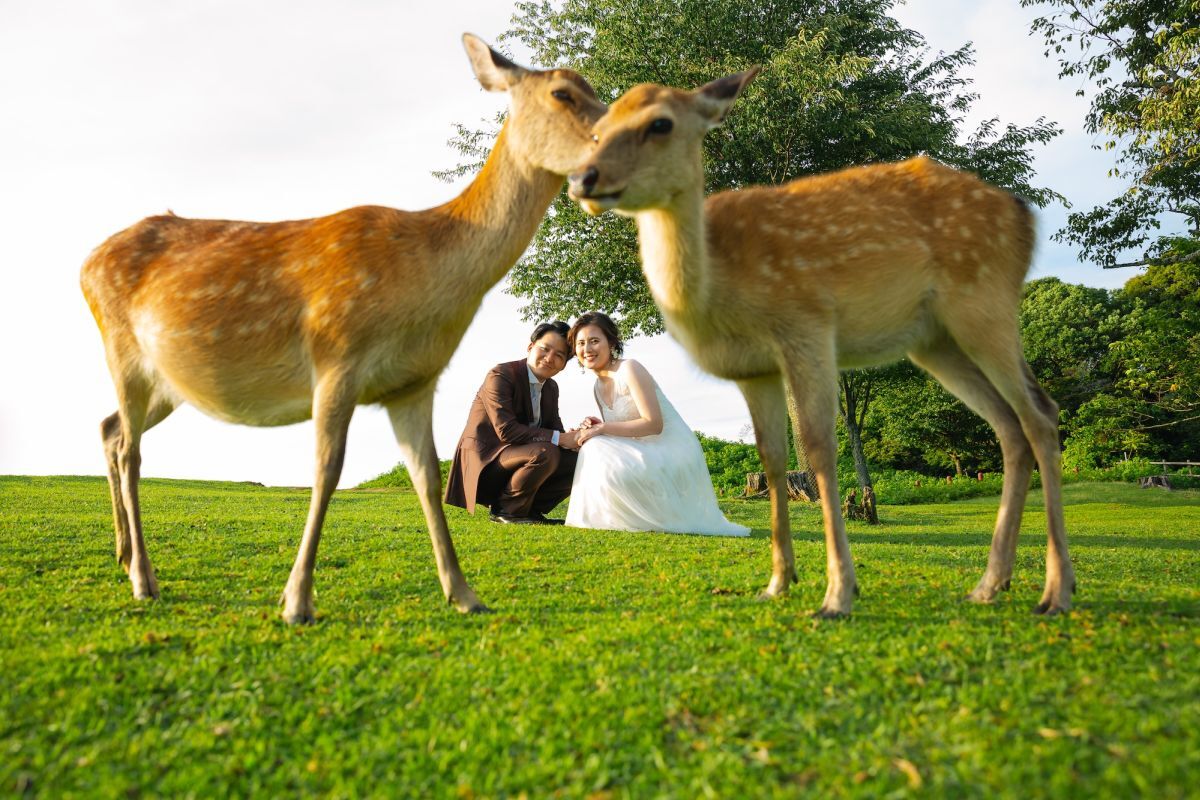 洋装ロケーション