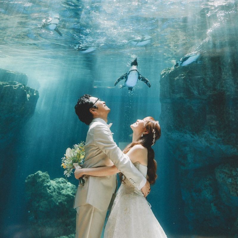 洋装ロケーション