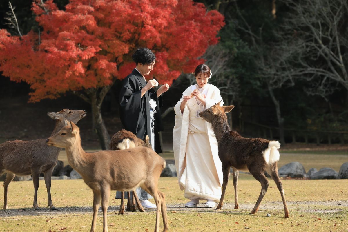 和装ロケーション