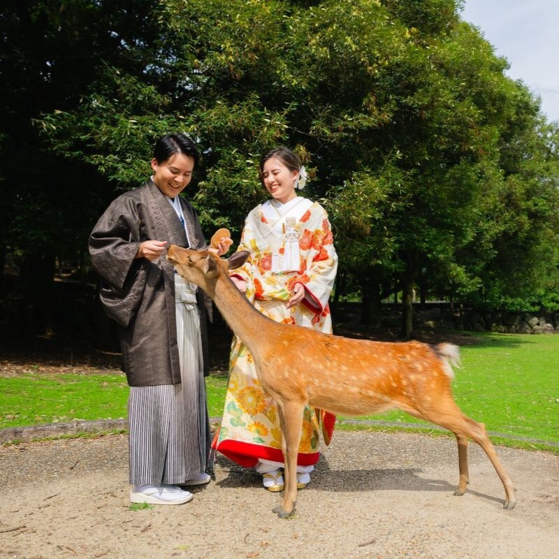 和装ロケーション
