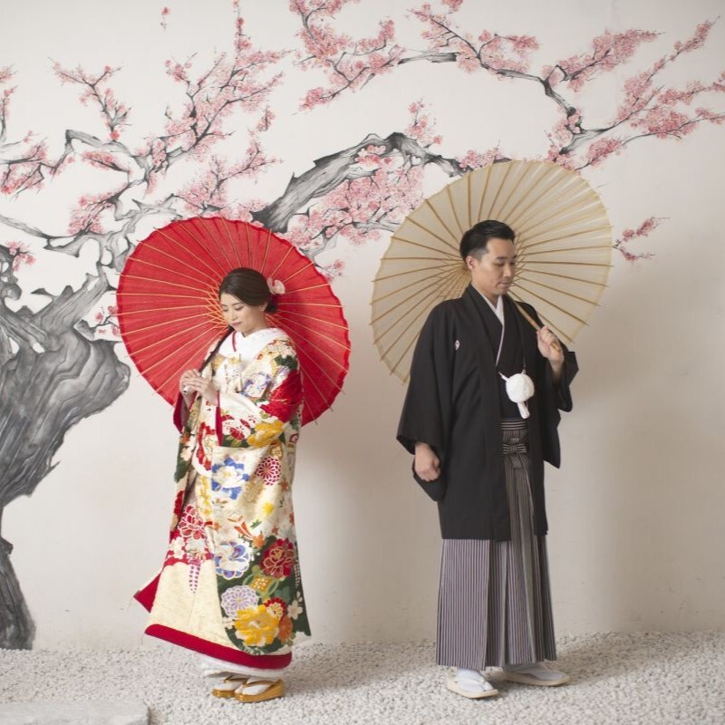 屋内庭園スタジオ