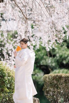 和装フォトプラン