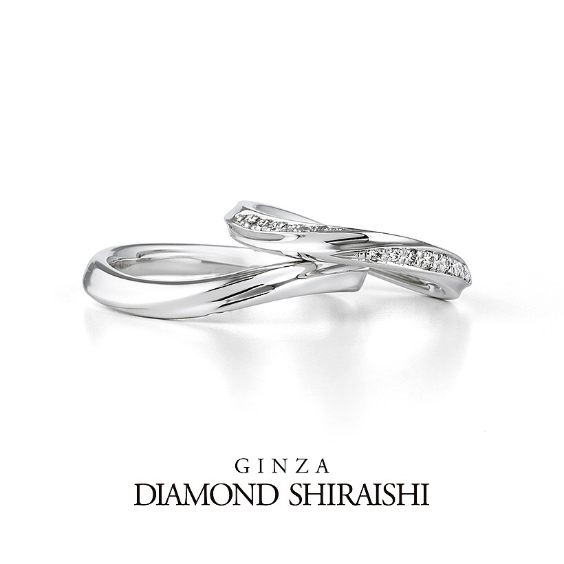 Venus Collection（ヴィーナス コレクション）