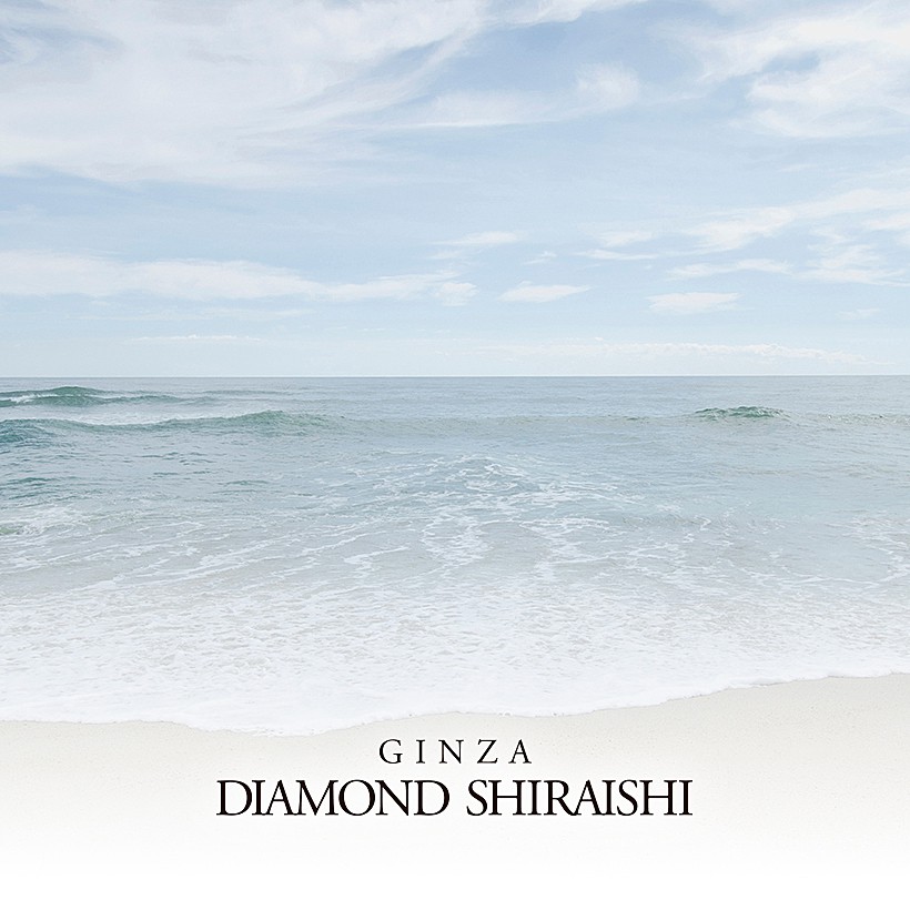 Venus Collection（ヴィーナス コレクション）