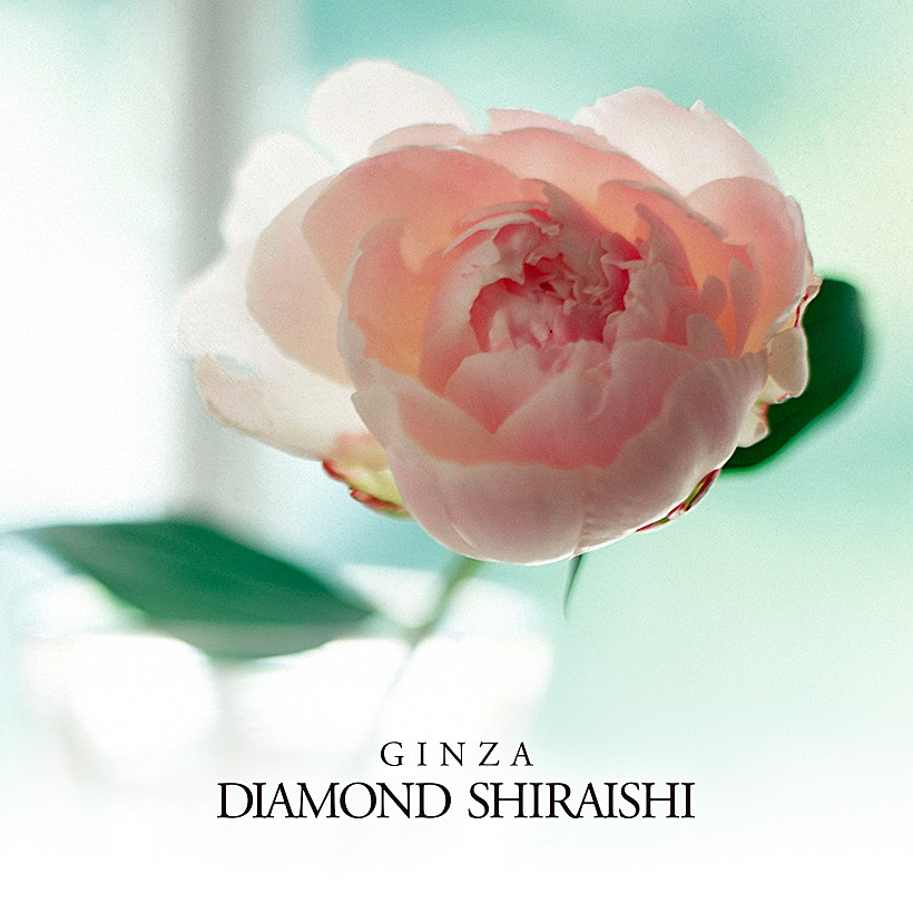 Bloomin'（ブルーミン）