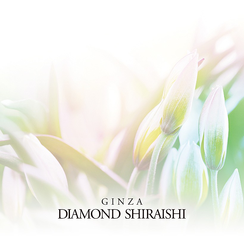 Radiant Days（ラディアント デイズ）